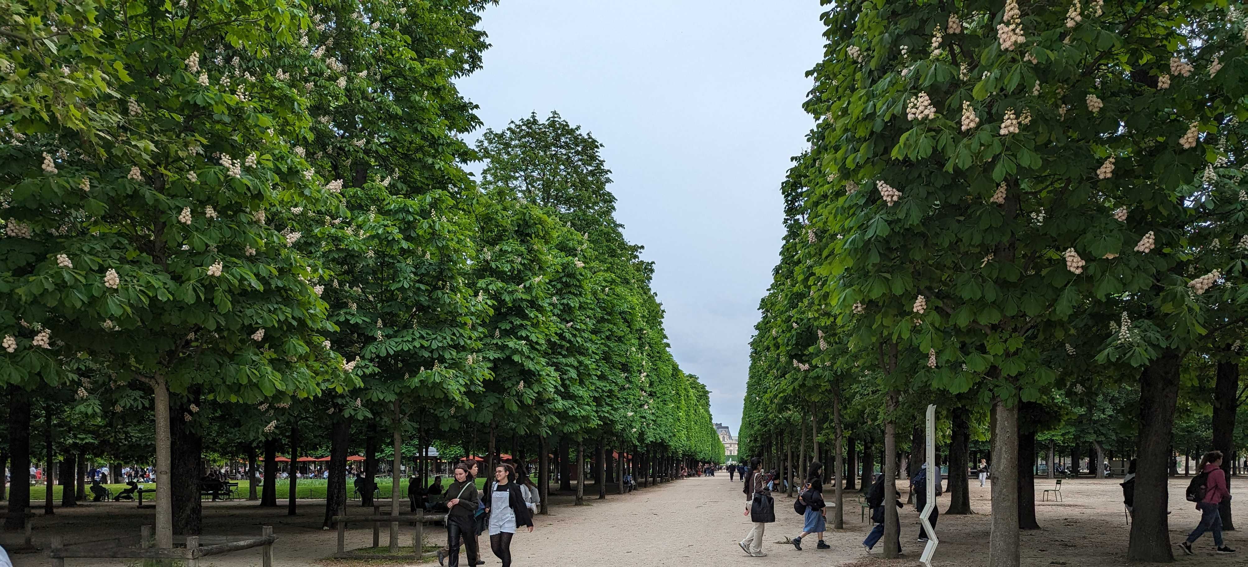 Tuileries Gardens