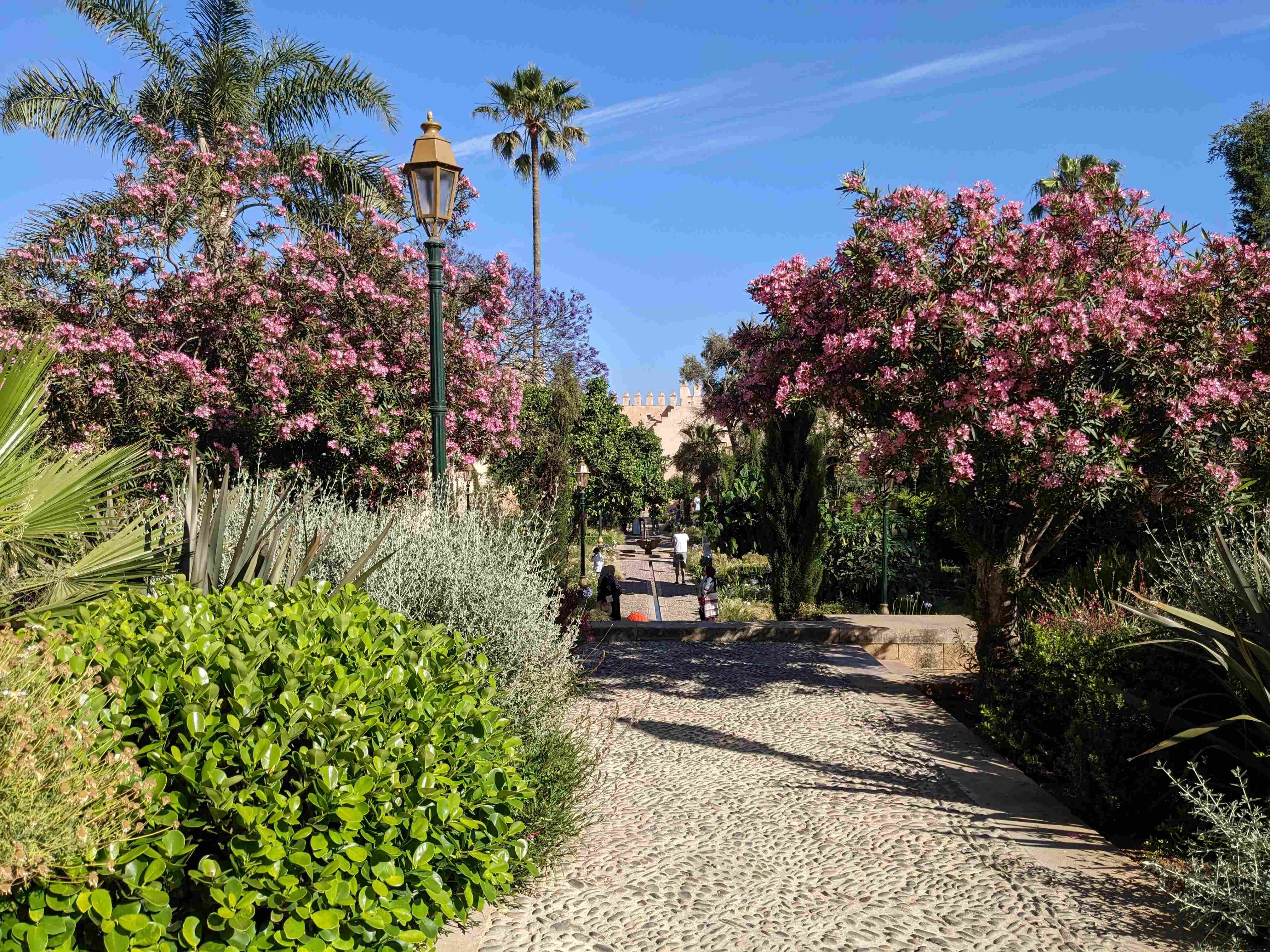 Andalusian Gardens 3