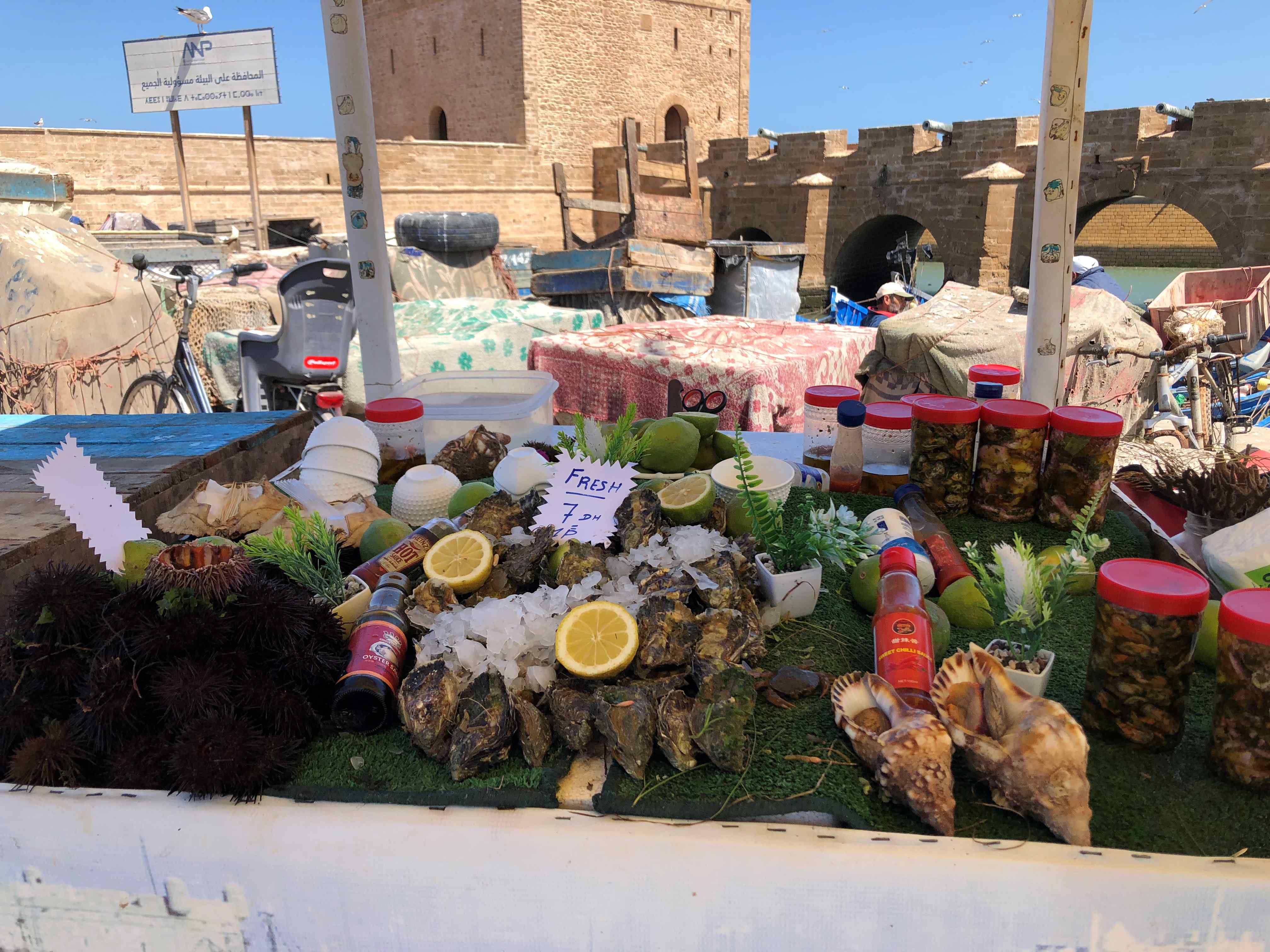 Essaouira Fish Market 1