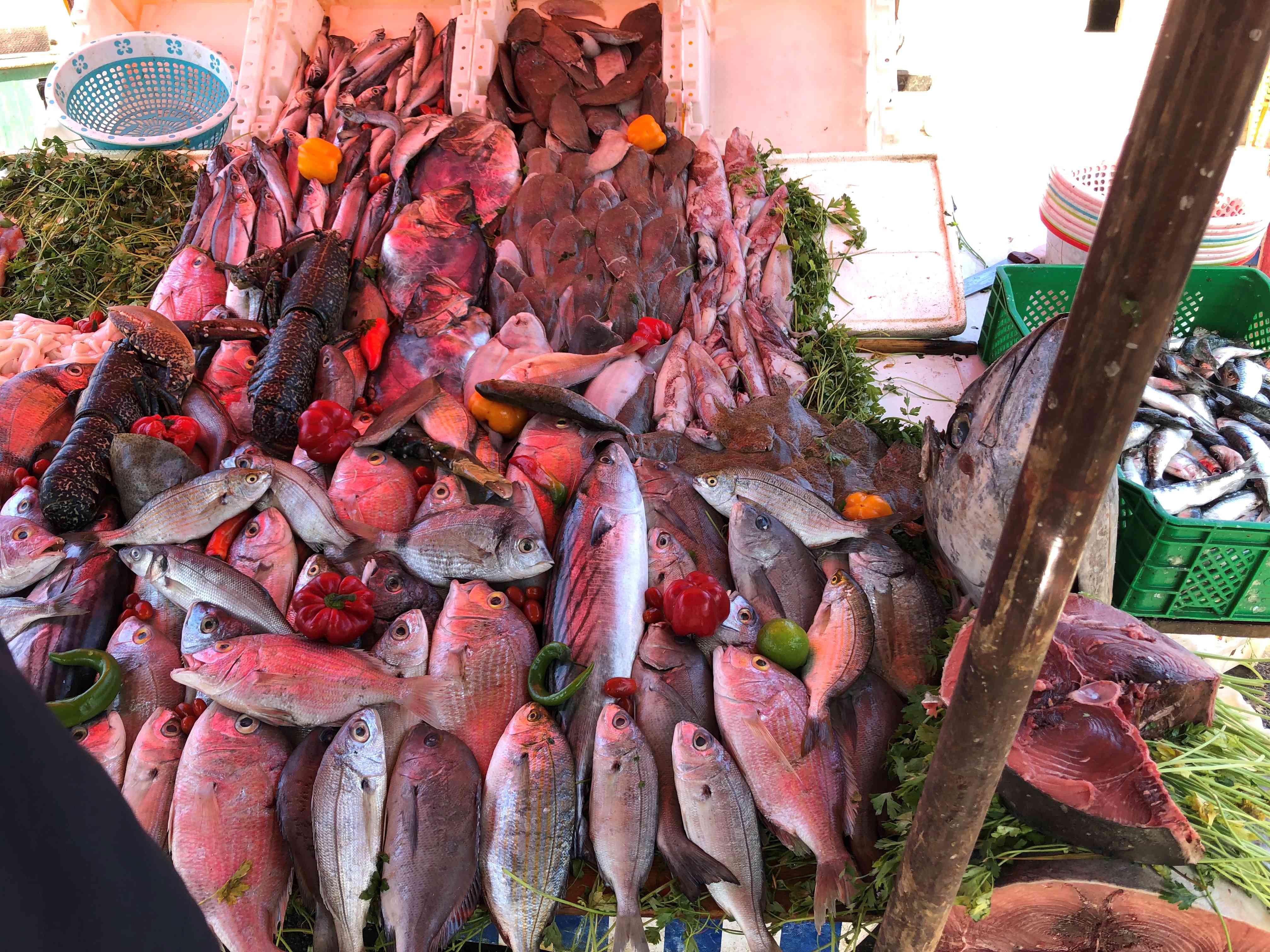 Essaouira Fish Market 2