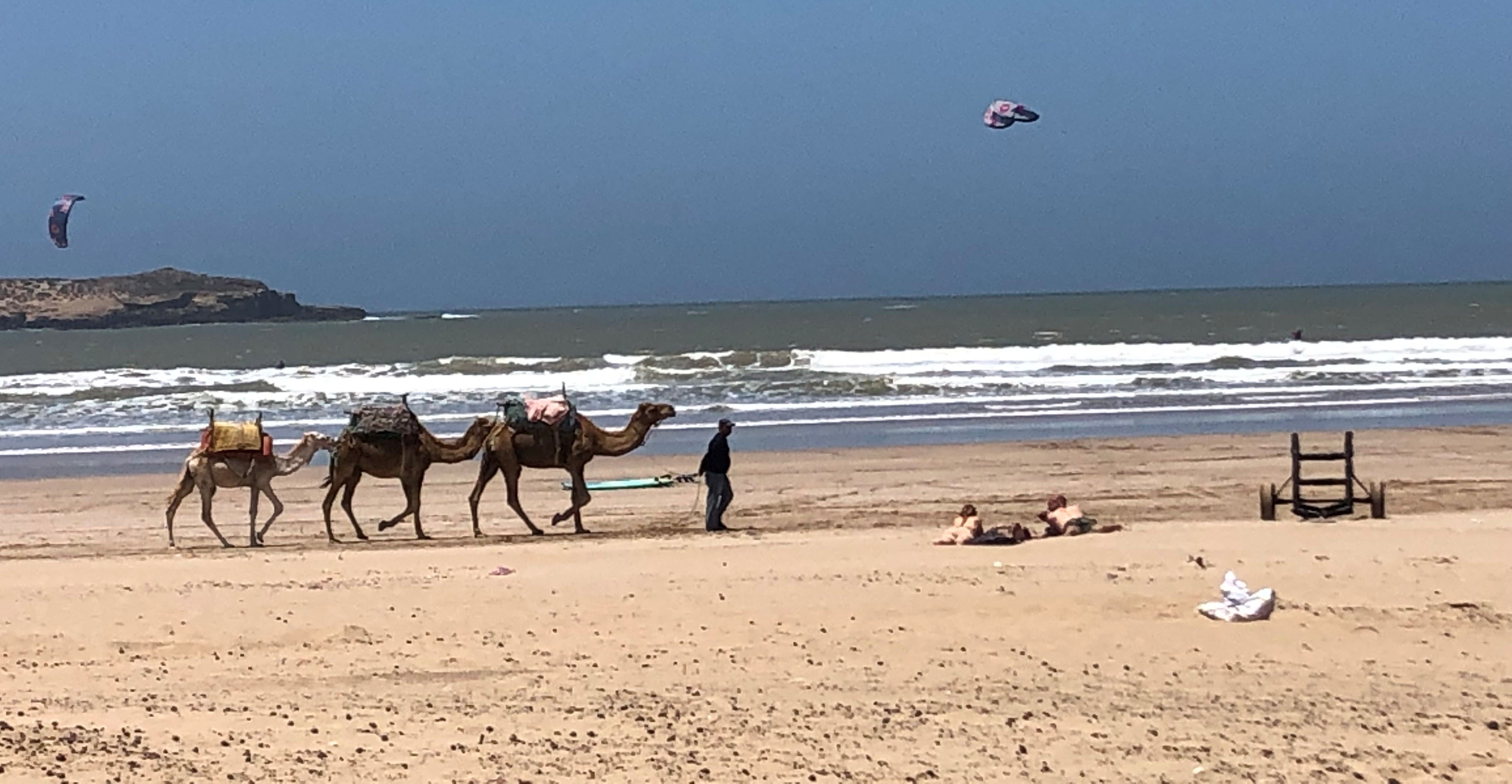 Essaouira beach 2
