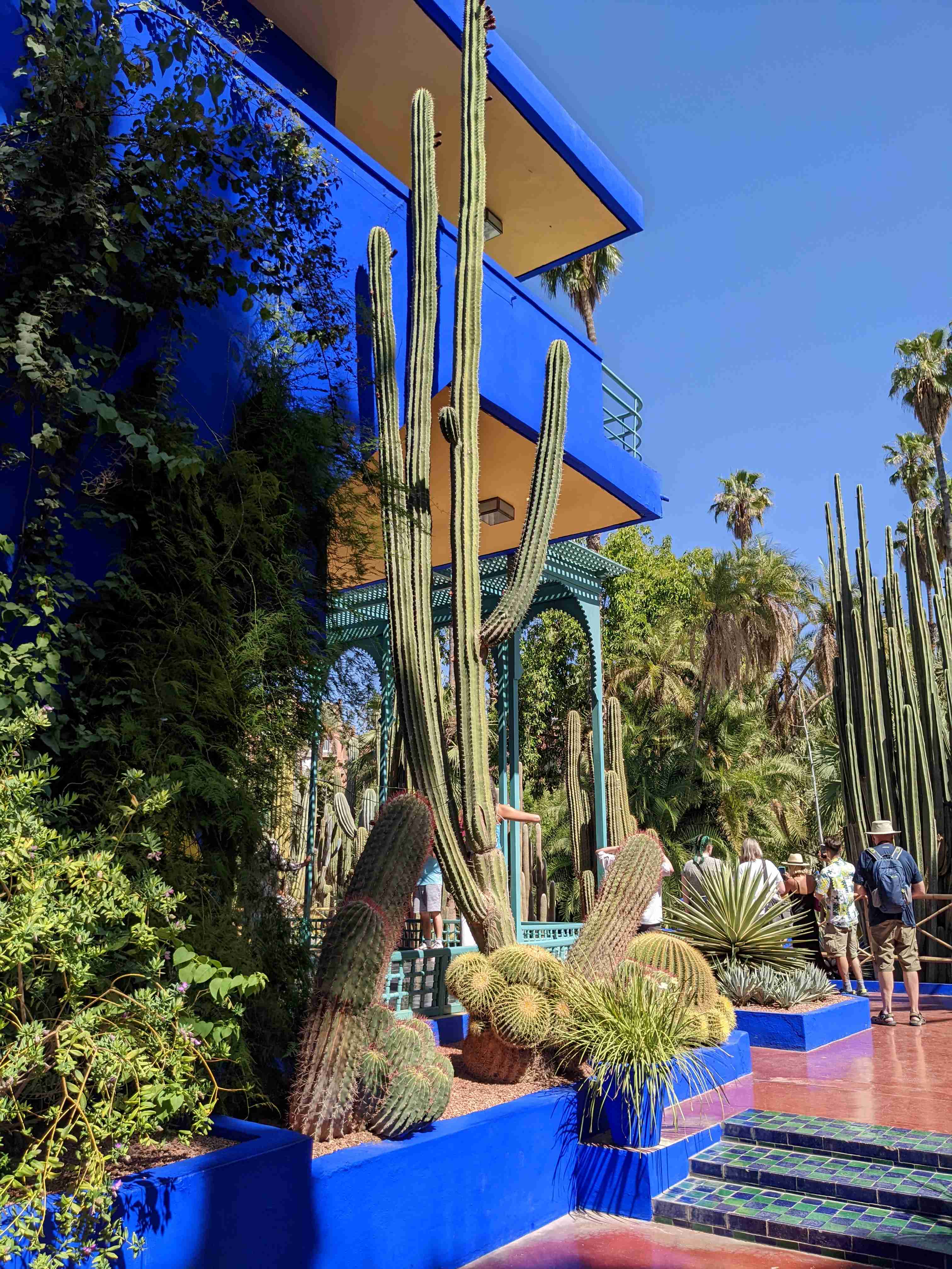 Jardin Majorelle 1