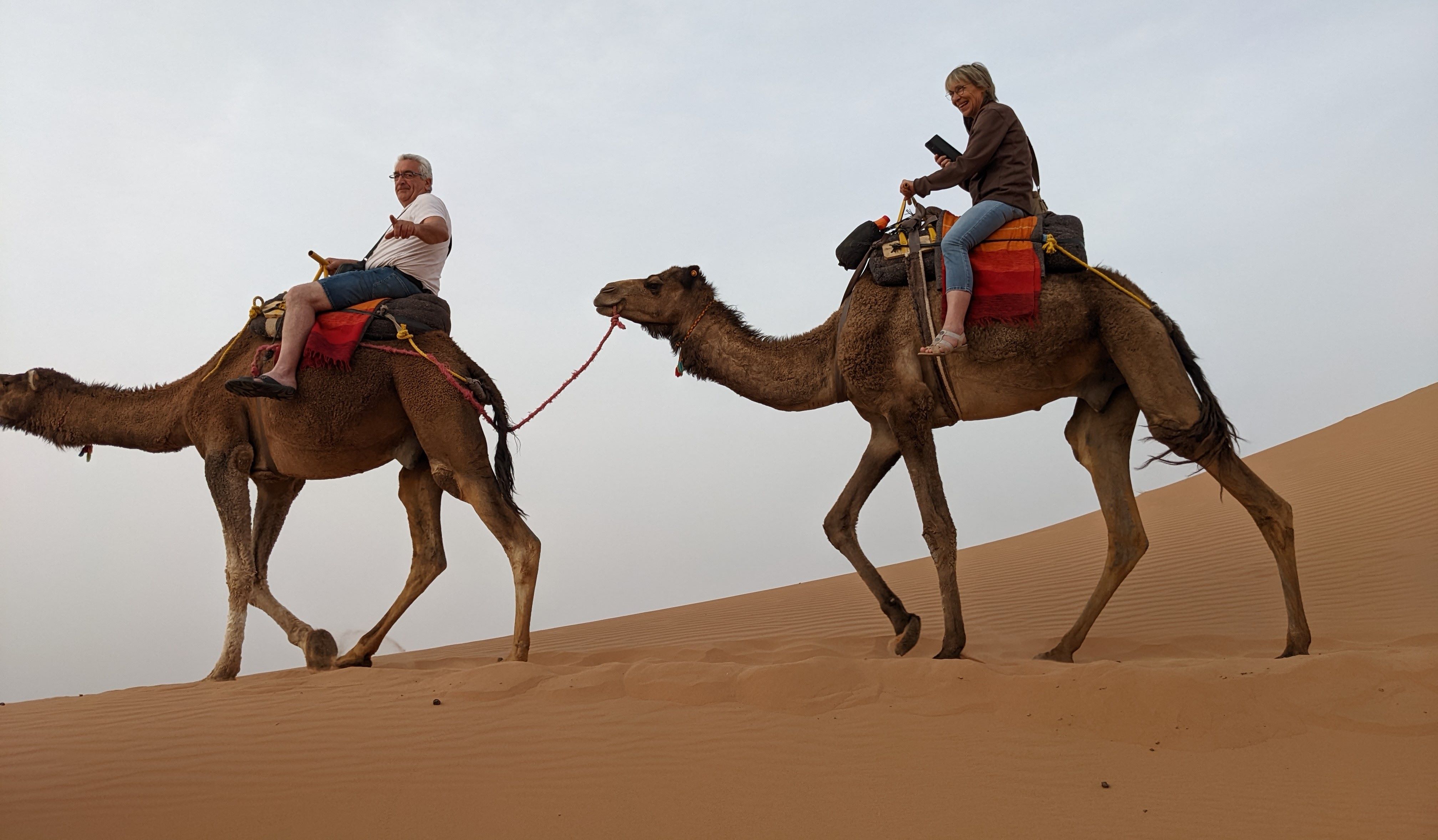 Sahara photo 15