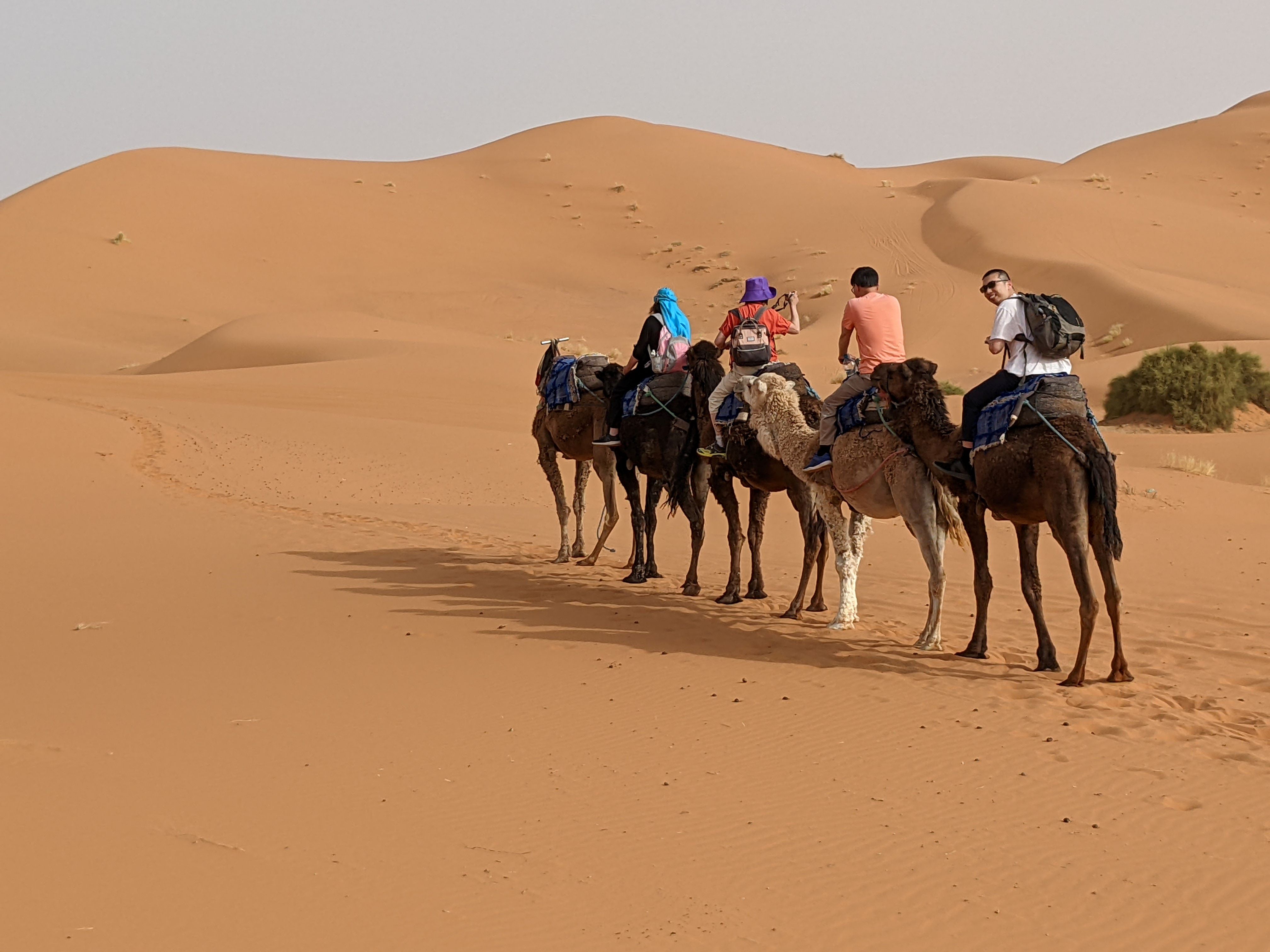 Sahara photo 17