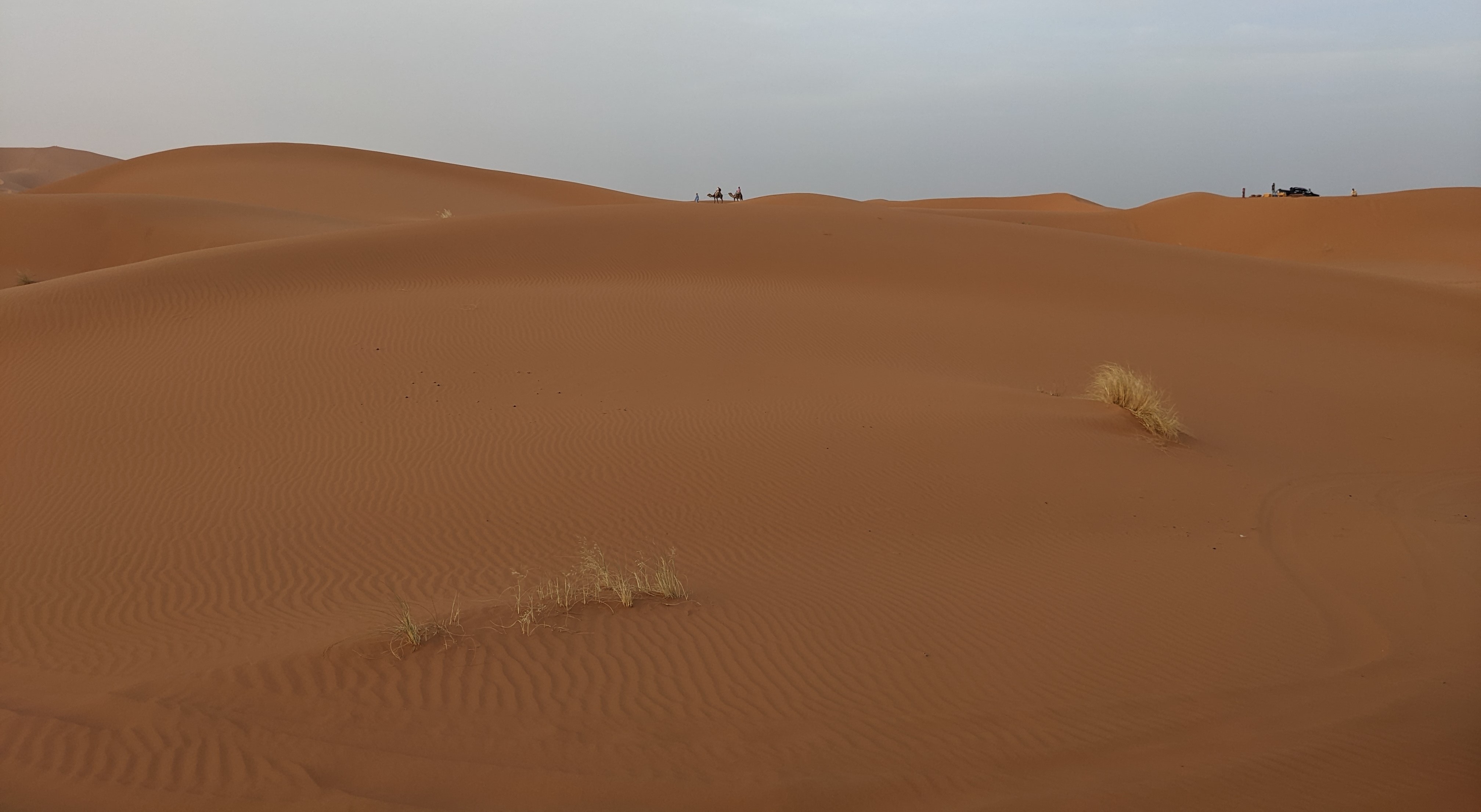 Sahara photo 4