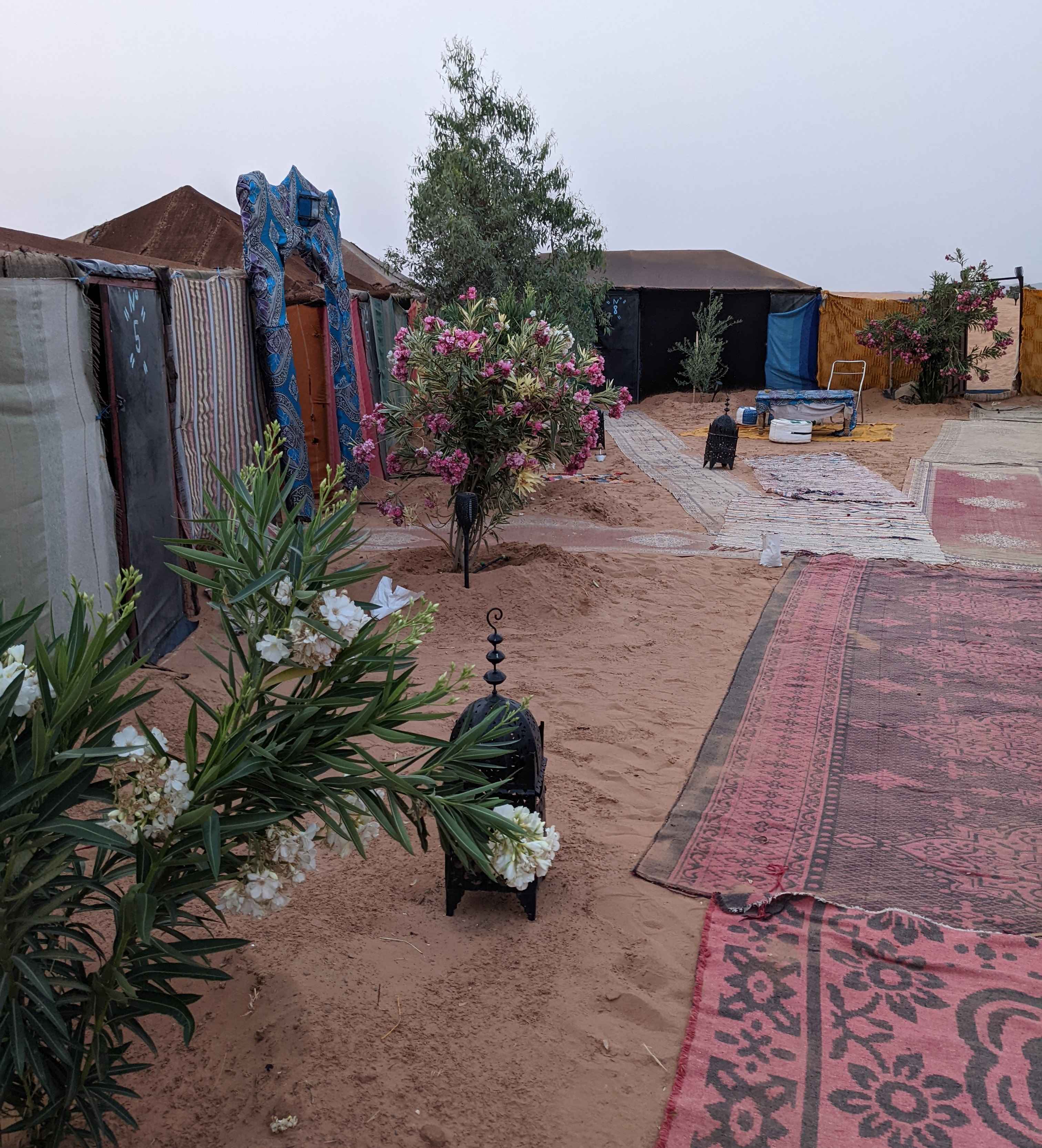 Sahara photo 9